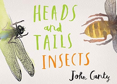 Cover of Heads and Tails