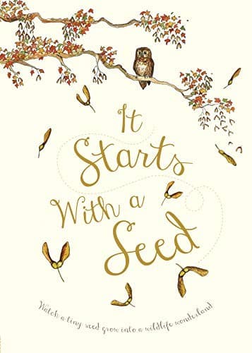 Cover of It starts with a seed