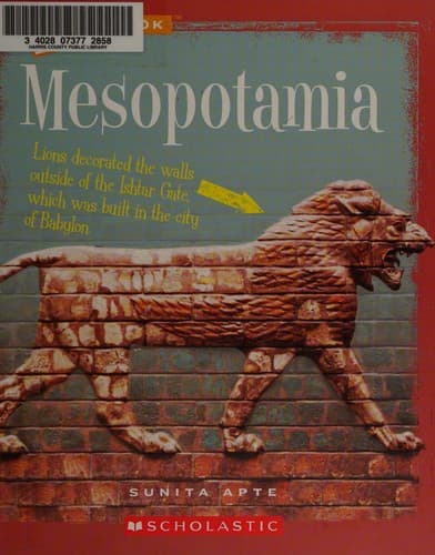Cover of Mesopotamia