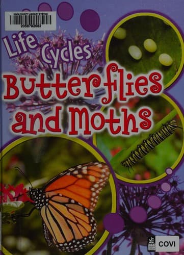 Cover of Butterflies and moths