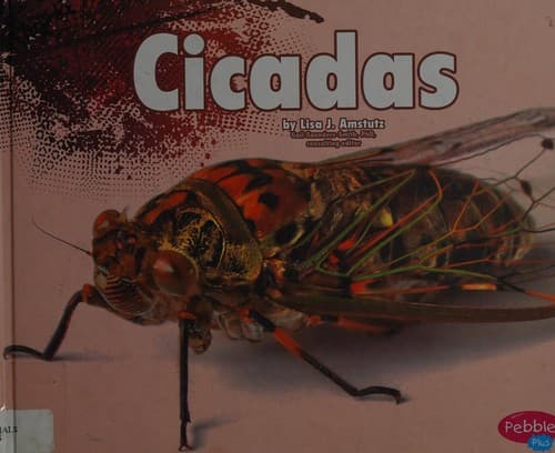 Cover of Cicadas