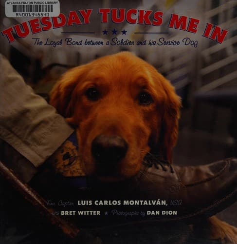 Cover of Tuesday tucks me in