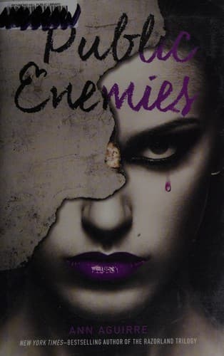 Cover of Public enemies
