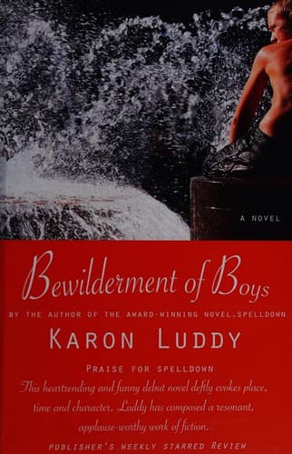 Cover of Bewilderment of boys