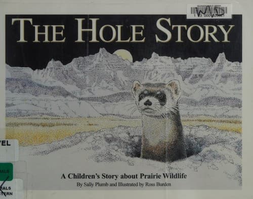 Cover of The hole story