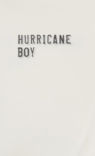 Cover of Hurricane boy