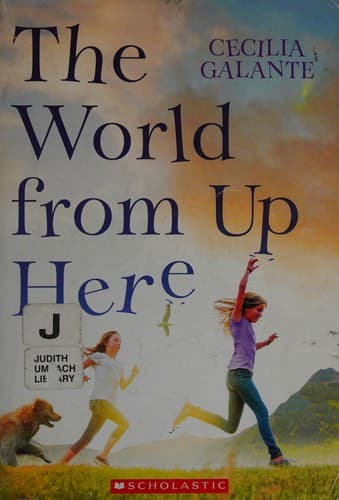 Cover of World from up Here