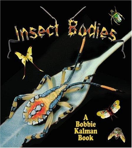Cover of Insect Bodies (The World of Insects)