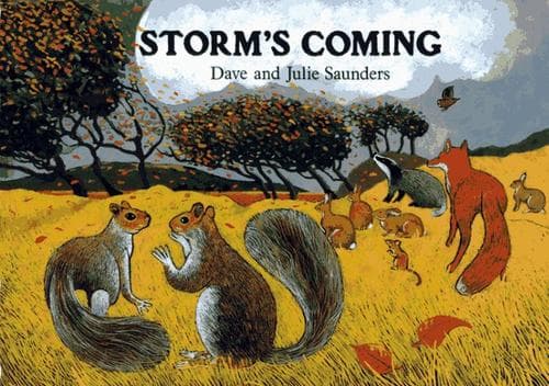 Cover of Storm's coming