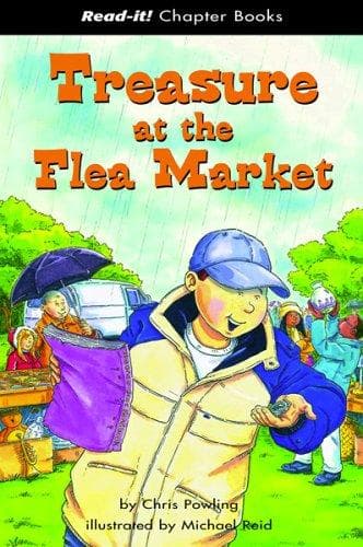 Cover of Treasure at the flea market