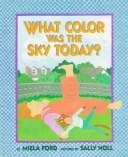 Cover of What color was the sky today?
