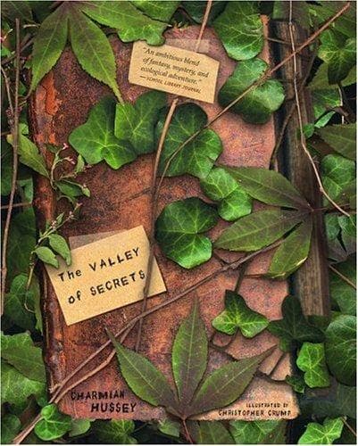 Cover of The valley of secrets