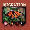 Cover of Migration (Nature's Cycles)