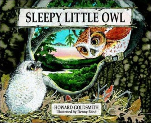Cover of Sleepy little owl