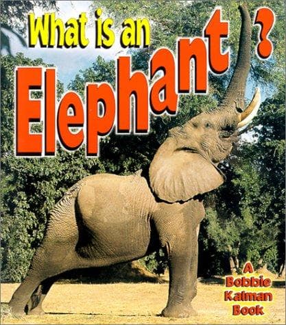 Cover of What is an elephant?