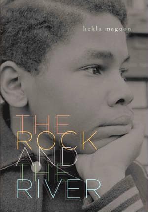 Cover of The rock and the river