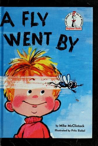 Cover of A fly went by