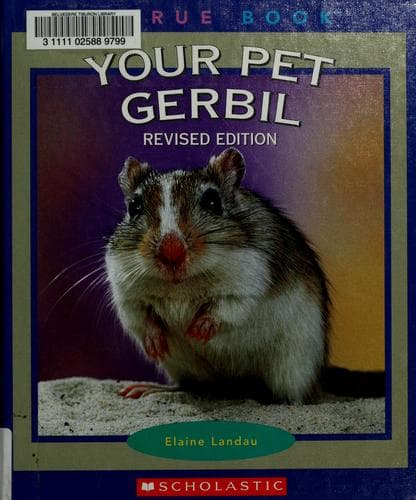 Cover of Your Pet Gerbil