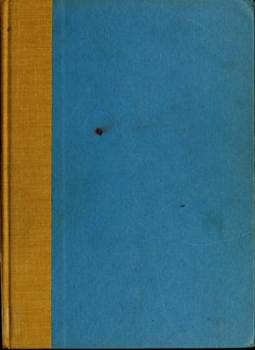 Cover of Susannah and the Blue House mystery