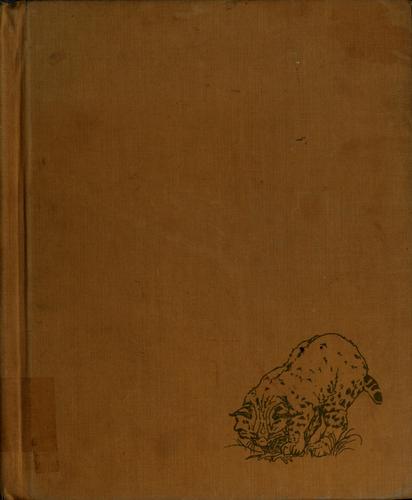 Cover of Wild babies, a canyon sketchbook