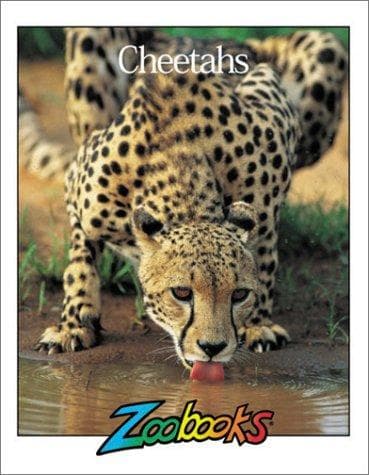 Cover of Cheetahs (Zoobooks Series)