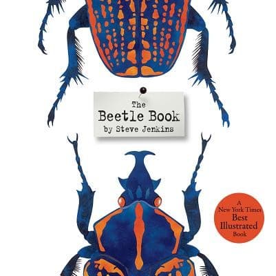 Cover of The beetle book