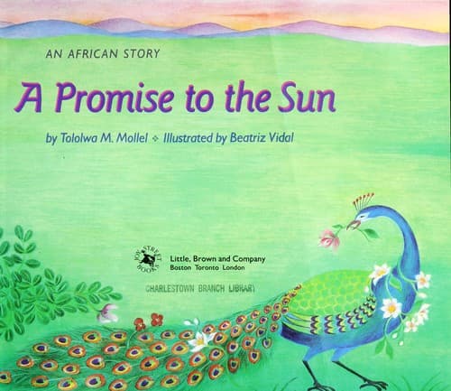 Cover of A promise to the sun