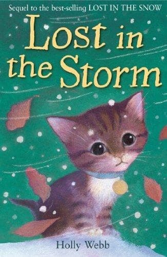Cover of Lost in the Storm