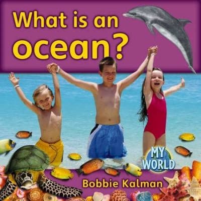 Cover of What Are Oceans? (Science of Living Things)