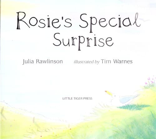 Cover of Rosie's special surprise