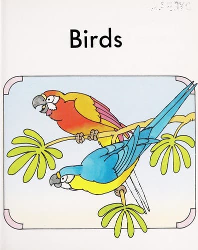 Cover of Stg 3D Birds Is