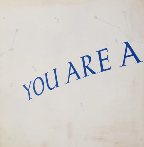 Cover of You are a star!