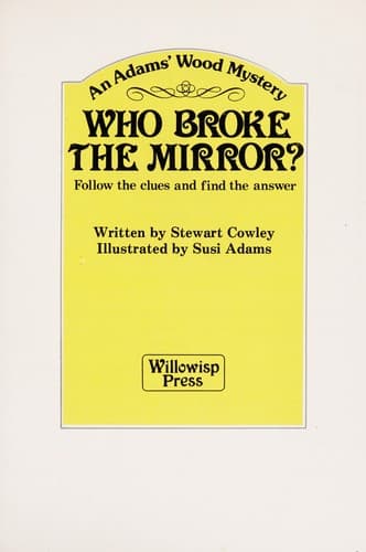 Cover of Who broke the mirror?