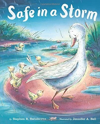 Cover of Safe in a Storm