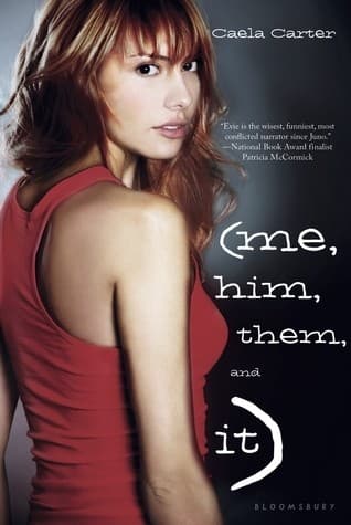 Cover of Me, him, them, and it