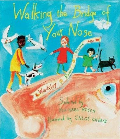 Cover of Walking the bridge of your nose