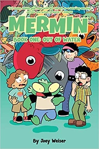 Cover of Mermin