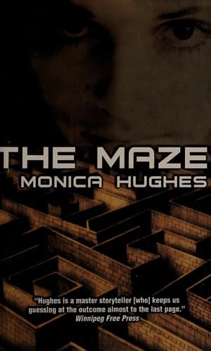 Cover of The maze