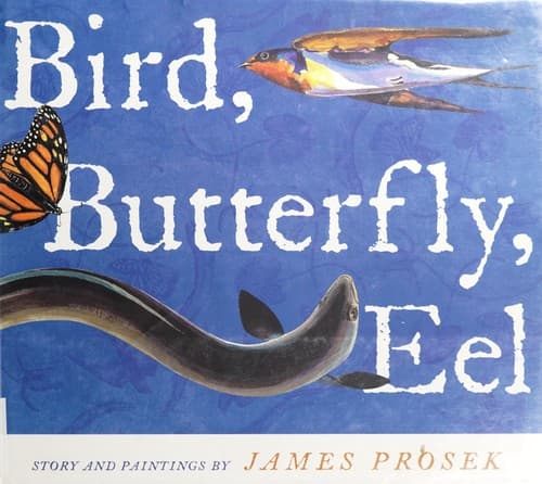 Cover of Bird, butterfly, eel
