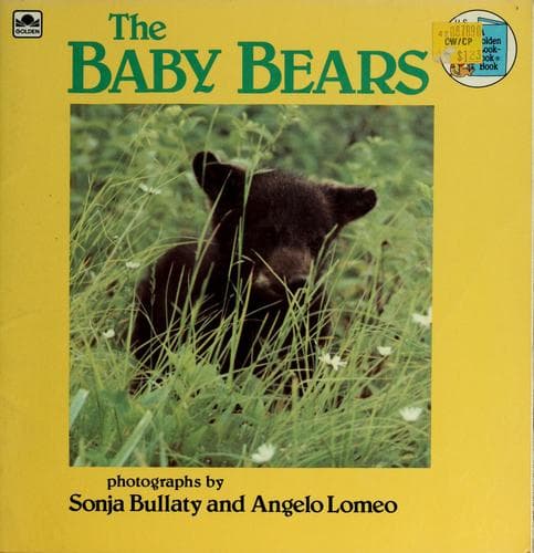 Cover of Baby Bears