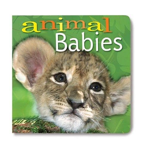 Cover of Animal babies