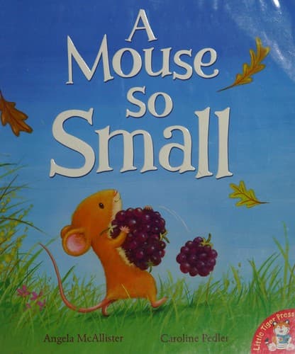 Cover of A mouse so small