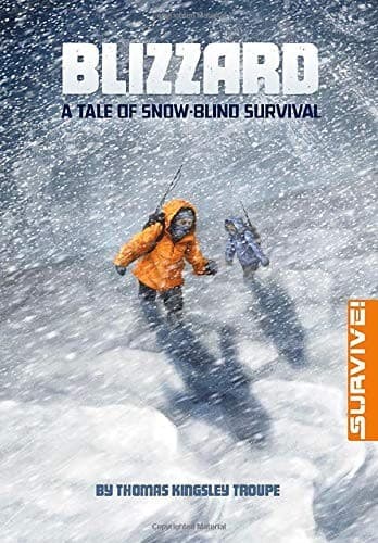 Cover of Blizzard