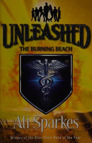 Cover of The burning beach
