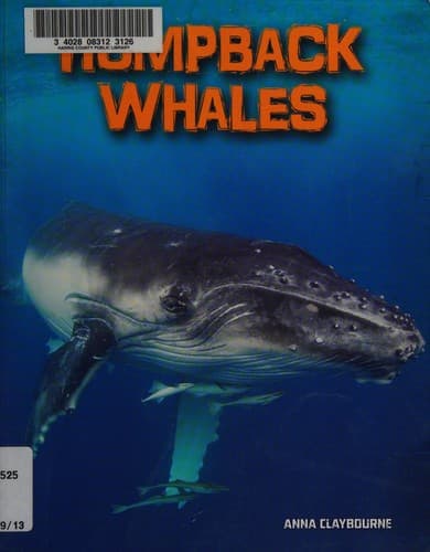 Cover of Humpback whales