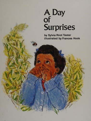 Cover of A day of surprises