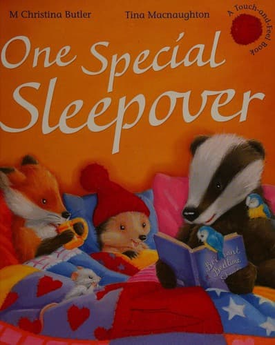 Cover of One special sleepover