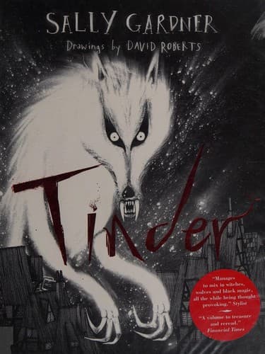 Cover of Tinder