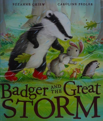 Cover of Badger and the great storm