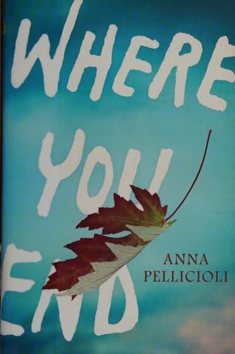Cover of Where You End